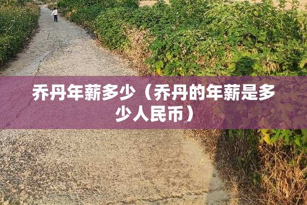 乔丹年薪多少（乔丹的年薪是多少人民币）