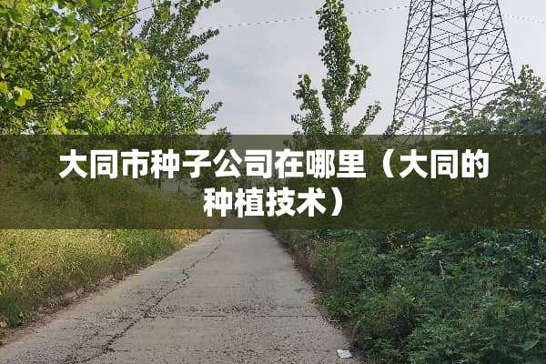 大同市种子公司在哪里（大同的种植技术）