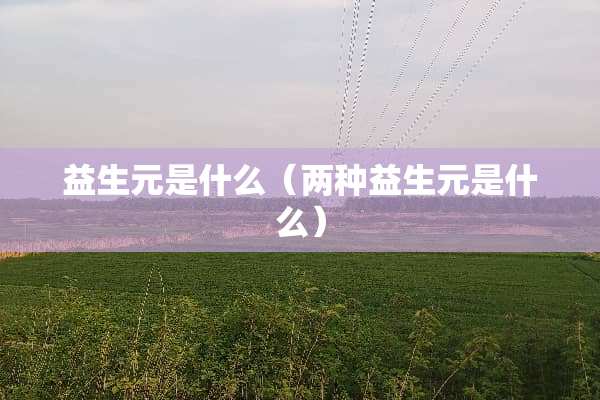 益生元是什么（两种益生元是什么）