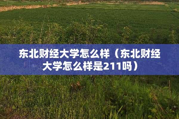 东北财经大学怎么样（东北财经大学怎么样是211吗）
