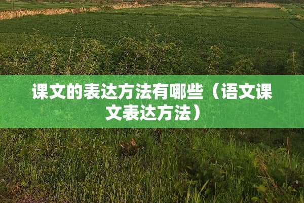 课文的表达方法有哪些（语文课文表达方法）