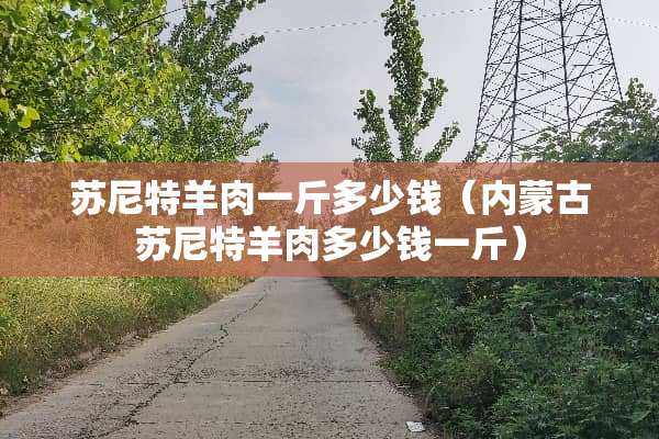 苏尼特羊肉一斤多少钱（***苏尼特羊肉多少钱一斤）