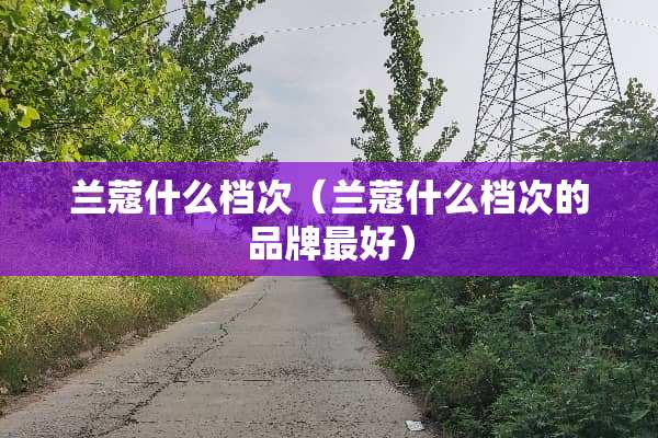 兰蔻什么档次（兰蔻什么档次的品牌最好）
