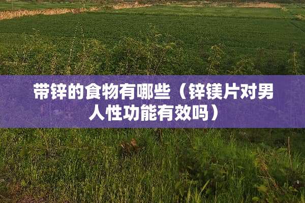 带锌的食物有哪些（锌镁片对男人性功能有效吗）