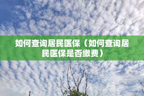 如何查询居民医保（如何查询居民医保是否缴费）