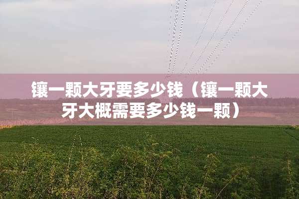 镶一颗大牙要多少钱（镶一颗大牙大概需要多少钱一颗）