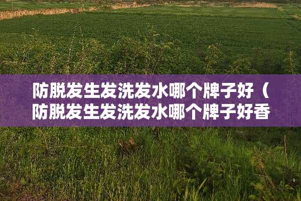 防脱发生发洗发水哪个牌子好（防脱发生发洗发水哪个牌子好香港）