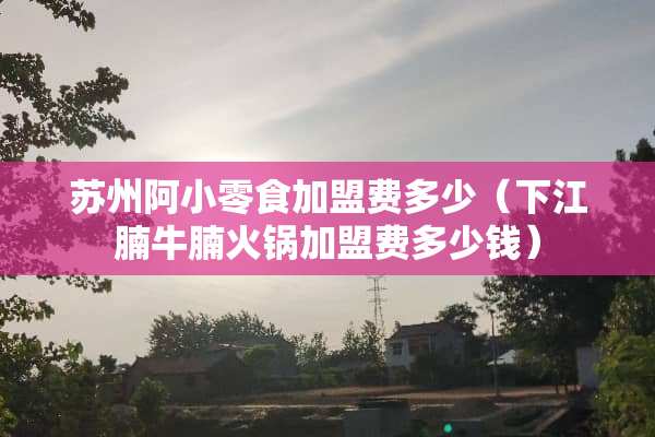 苏州阿小零食加盟费多少（下江腩牛腩火锅加盟费多少钱）