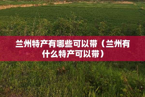 兰州特产有哪些可以带（兰州有什么特产可以带）