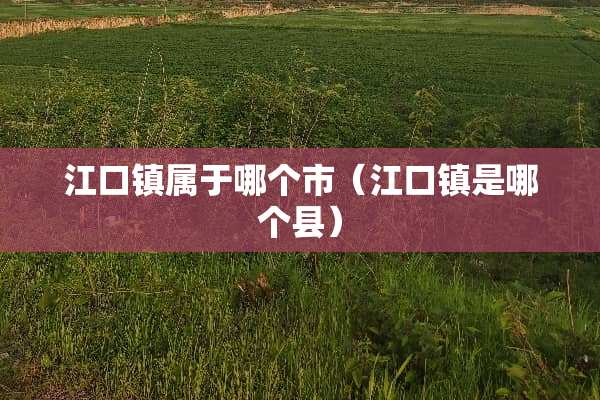 江口镇属于哪个市（江口镇是哪个县）