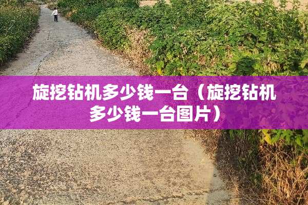 旋挖钻机多少钱一台（旋挖钻机多少钱一台图片）