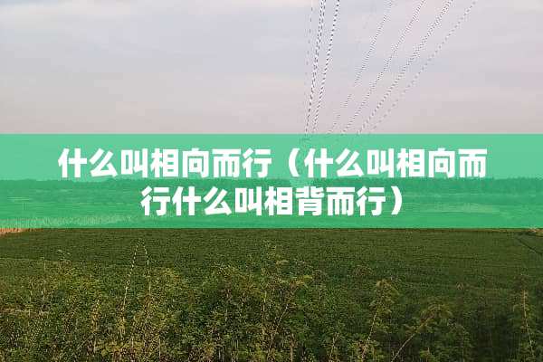 什么叫相向而行（什么叫相向而行什么叫相背而行）