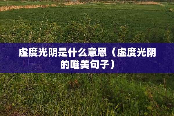 虚度光*是什么意思（虚度光*的唯美句子）