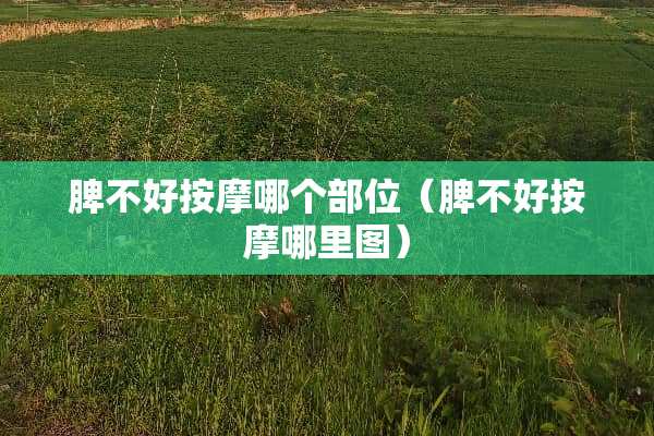 脾不好按摩哪个部位（脾不好按摩哪里图）