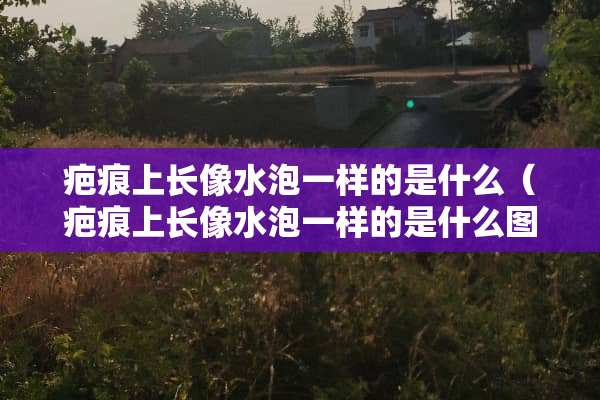 疤痕上长像水泡一样的是什么（疤痕上长像水泡一样的是什么图片）