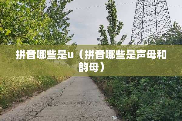 拼音哪些是u（拼音哪些是声母和韵母）