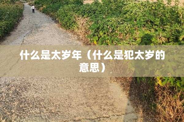 什么是太岁年（什么是犯太岁的意思）