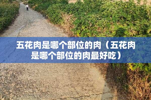 五花肉是哪个部位的肉（五花肉是哪个部位的肉最好吃）
