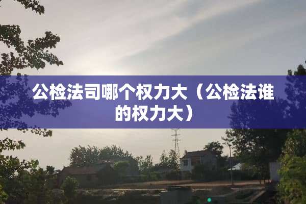 ***司哪个权力大（***谁的权力大）