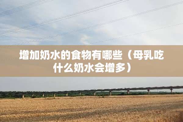 增加奶水的食物有哪些（母*吃什么奶水会增多）
