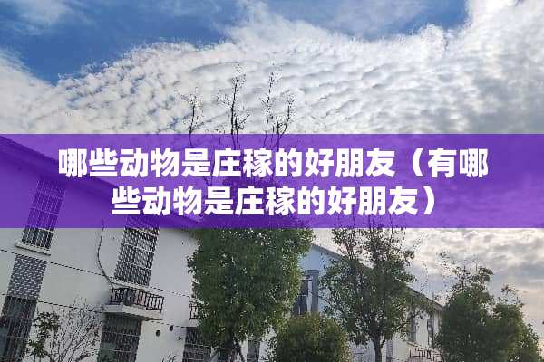 哪些动物是庄稼的好朋友（有哪些动物是庄稼的好朋友）