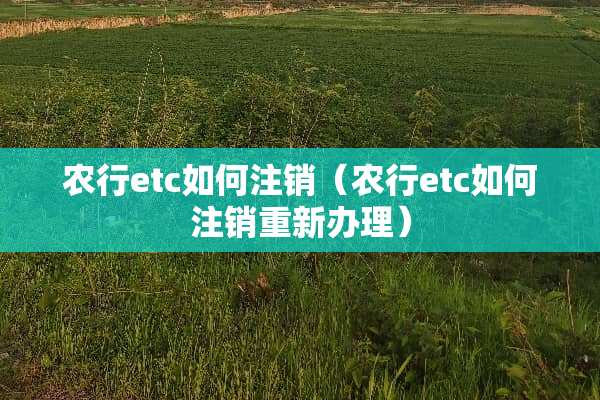 农行etc如何注销（农行etc如何注销重新办理）