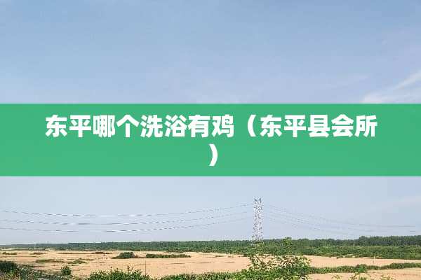 东平哪个洗浴有鸡（东平县会所）