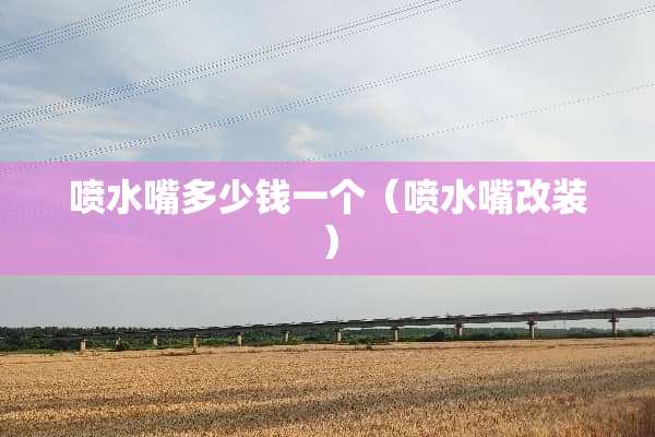 喷水嘴多少钱一个（喷水嘴改装）