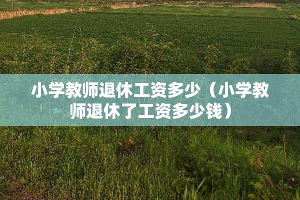 小学教师退休工资多少（小学教师退休了工资多少钱）