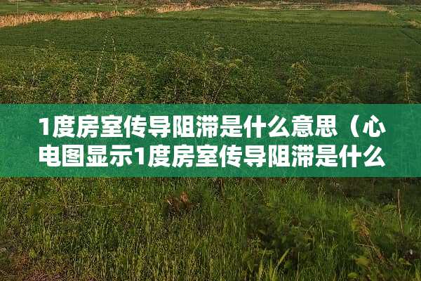 1度房室传导阻滞是什么意思（心电图显示1度房室传导阻滞是什么意思）