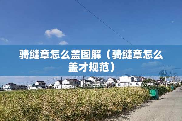 骑缝章怎么盖图解（骑缝章怎么盖才规范）