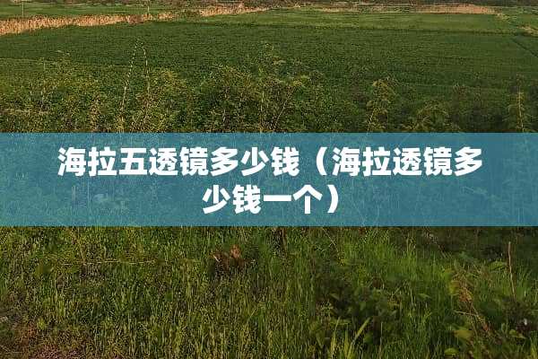 海拉五透镜多少钱（海拉透镜多少钱一个）