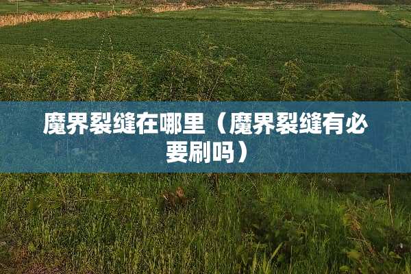 魔界裂缝在哪里（魔界裂缝有必要刷吗）