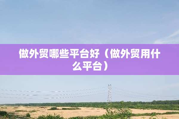 做外贸哪些平台好（做外贸用什么平台）