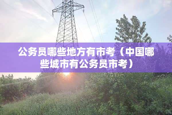 公务员哪些地方有市考（中国哪些城市有公务员市考）