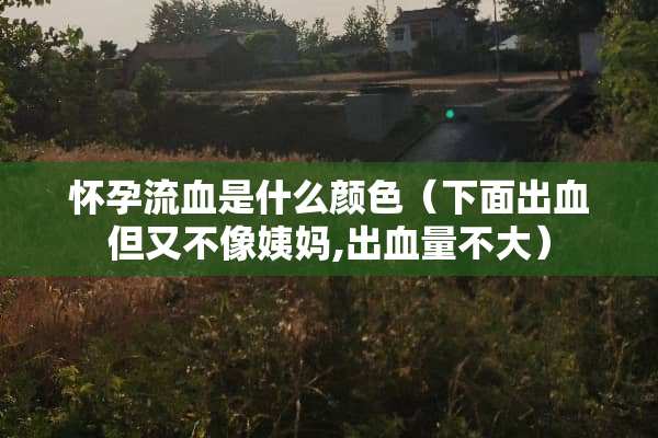 怀孕流血是什么颜色（下面出血但又不像姨妈,出血量不大）