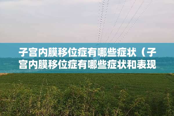 子宫内膜移位症有哪些症状（子宫内膜移位症有哪些症状和表现）
