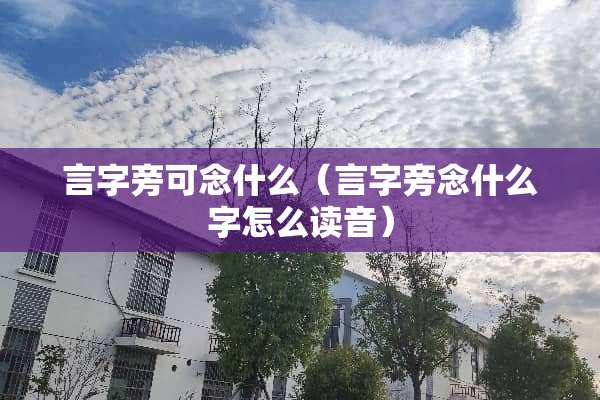 言字旁可念什么（言字旁念什么字怎么读音）