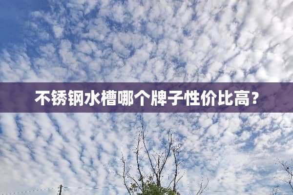 不锈钢水槽哪个牌子性价比高？