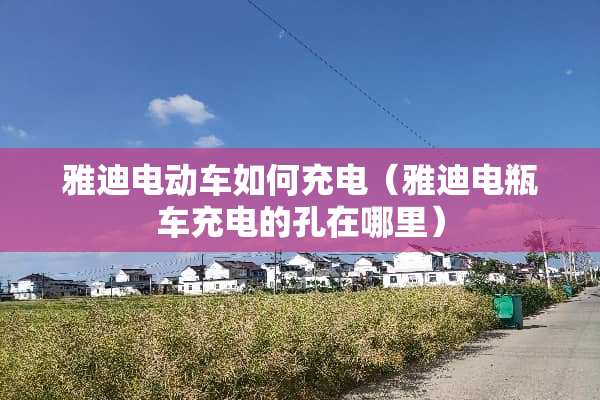 雅迪电动车如何充电（雅迪电瓶车充电的孔在哪里）
