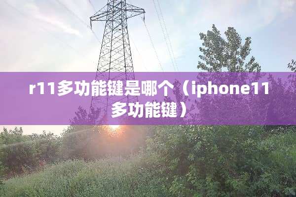 r11多功能键是哪个（iphone11多功能键）