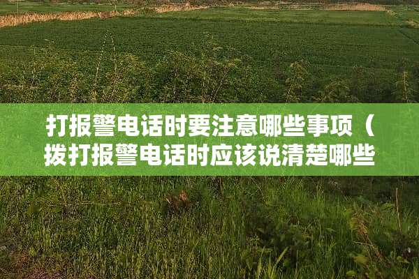 打报警电话时要注意哪些事项（拨打报警电话时应该说清楚哪些内容）
