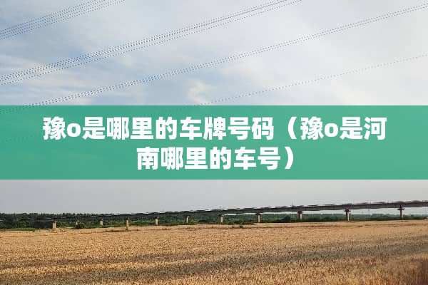 豫o是哪里的车牌号码（豫o是河南哪里的车号）