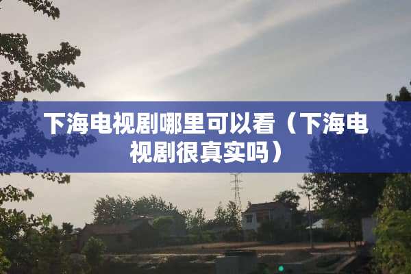 下海电视剧哪里可以看（下海电视剧很真实吗）