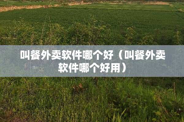 叫餐外卖软件哪个好（叫餐外卖软件哪个好用）