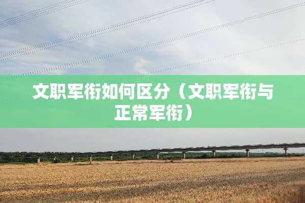 文职军衔如何区分（文职军衔与正常军衔）