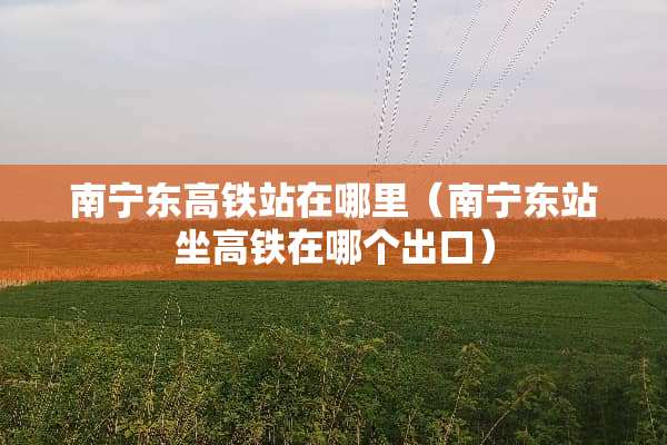 南宁东高铁站在哪里（南宁东站坐高铁在哪个出口）