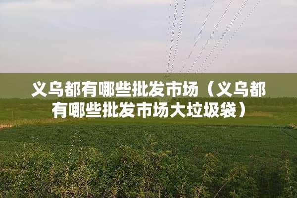 义乌都有哪些批发市场（义乌都有哪些批发市场大垃圾袋）