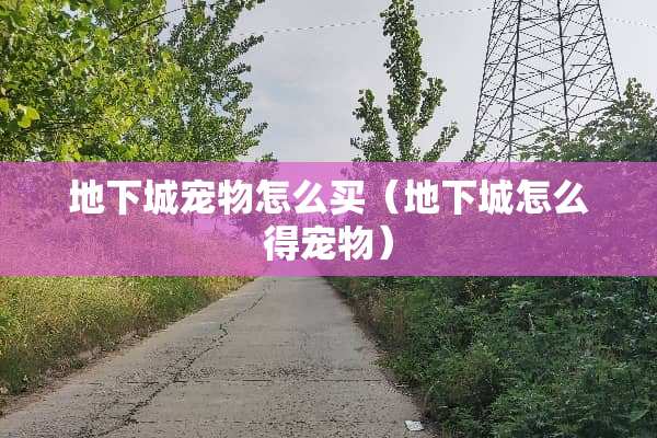 **城宠物怎么买（**城怎么得宠物）