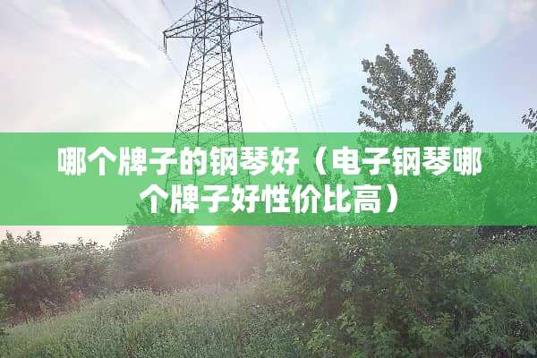哪个牌子的钢琴好（电子钢琴哪个牌子好性价比高）